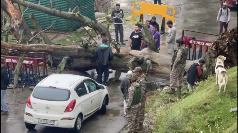 Massive Dead Tree Brings Drung Road to a Standstill, Police & CRPF Narrowly Escape